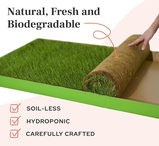 DoggieLawn XL - Real Grass Dog Pee Pad with Built-in Disposable Tray | No Cleaning, Odor-Free | Indoor Outdoor Potty Training for Puppies & Large Dogs | 48" x 24"