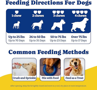 Probiotics for Dogs - Dog Probiotics for Gut, Immune & Skin Health - 6 Billion CFUs, 180 Soft Chews, Salmon & Blueberry Flavor - with Prebiotics & Digestive Enzymes