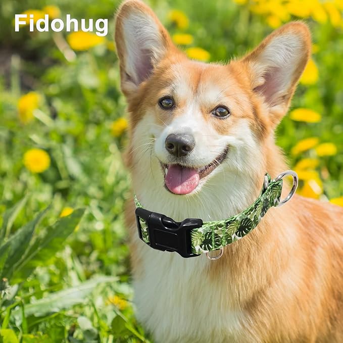 Dog Collar Martingale with Buckle Adjustable Nylon Tropical No Pull Anti Escape Training Dog Collars (Palm Leaf, Small)