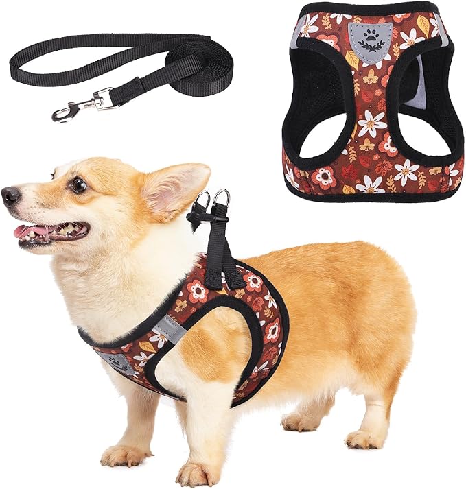KOOLTAIL Fall Dog Harness and Leash Set for Small Medium Dogs, Autumn Step in No Pull Comfort Padded Pet Vest, Adjustable Reflective Easy Walking Puppy Cats Harness Training, Leaf & Flower S