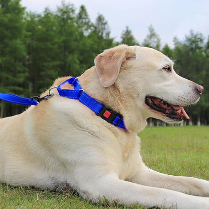 Joytale Martingale Collar for Dogs, Reflective Heavy Duty for Safety, Quick Release Buckle, Adjustable Nylon Collars for Small Dogs Walking Training, Navy Blue,S