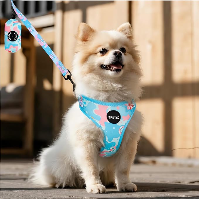 Small Dog Harness and Leash Set of 6, No Pull Soft Lightweight Mesh Puppy Harness， Adjustable Cute Floral Pattern Pet Harness for Small Medium Dogs (Blue Sea, XS)