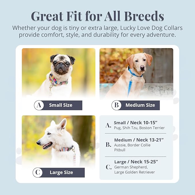 Lucky Love Dog Martingale Dog Collar - Adjustable, No-Slip, Durable, & Soft Webbing Collar for Male and Female Dogs Ideal for Training & Walking - Ladybird, Small