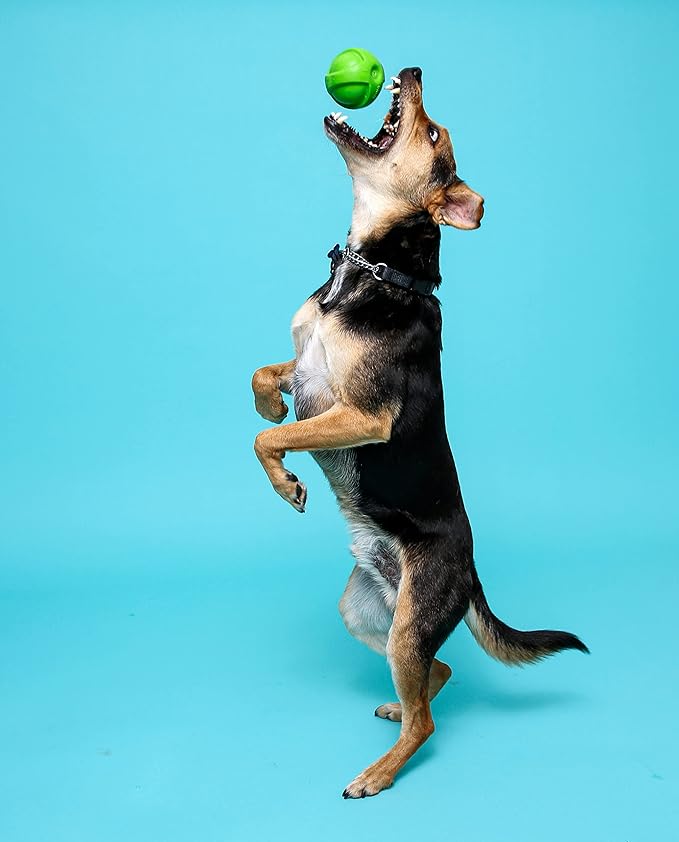 Hartz Dura Play Bacon Scented Squeak Ball Dog Toy for Small Breeds, 3 Pack