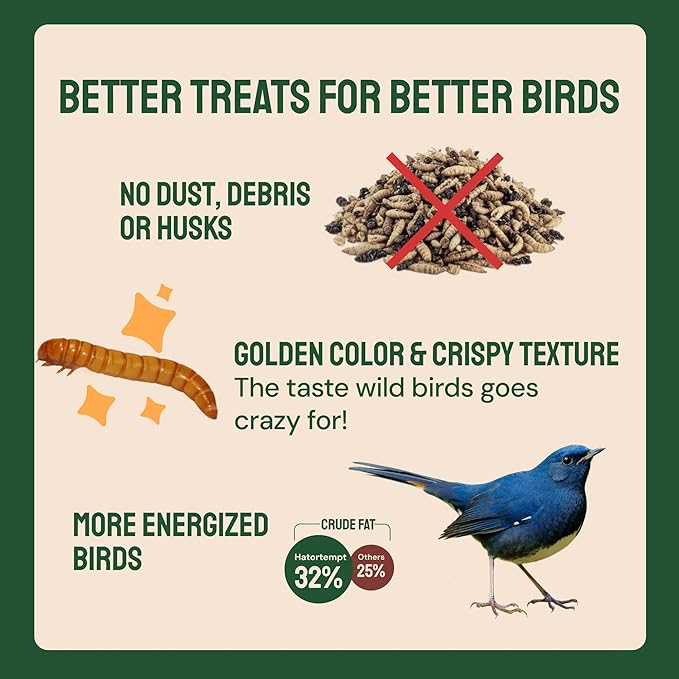 Hatortempt 2lb Dried Mealworms for Chickens - 50% Protein and 32% Essential Fats to Support Healthy Feather Growth During Molt - Organic Treats for Chickens, Ducks, Wild Birds & Reptiles