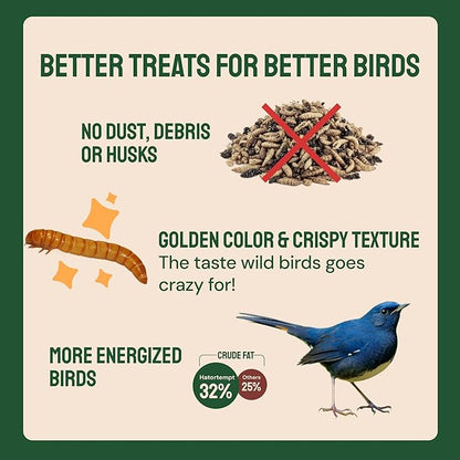 Hatortempt 1.8lb Dried Mealworms for Wild Birds - 50% Protein Meal Worms for Wild Birds - Attracts Bluebirds, Starlings, Wrens, Woodpeckers, Cardinals and Robins