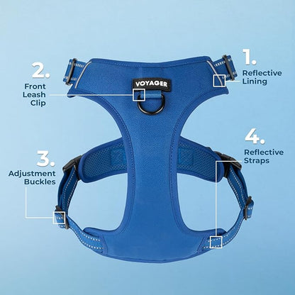 Voyager Dog Harness Dual Leash Attachment No-Pull Control Adjustable Soft but Strong Pet Harness for Medium and Large Dogs with 3M Reflective Technology, Royal Blue Lattice Nylon, S (Chest: 16-20")