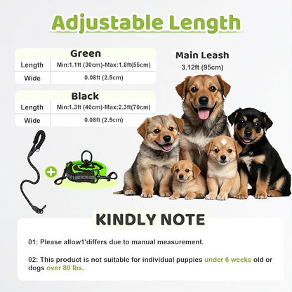 Double Dog Leash - 360°Swivel Tangle Free Splitter Attachment, 1 Rope with Handle, 2 Dogs Multi-Functional Leash, for Outdoor Walk Train Small Medium Large Two Pet, Green