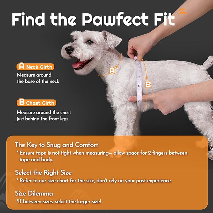 Eagloo Small Dog Harness and Leash Set, Step in Puppy Vest with Breathable Soft Mesh, Walking Reflective Pet Harness for Extra Small Dogs, Black, XXS