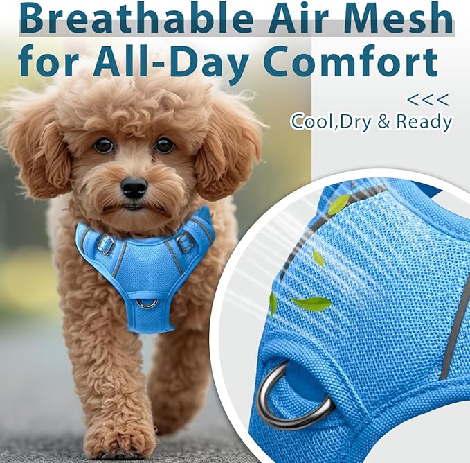 BARKBAY Dog Harness No Pull with ID Tag Pocket - Heavy Duty, Reflective, Easy Control for Small Dogs(Blue,S)