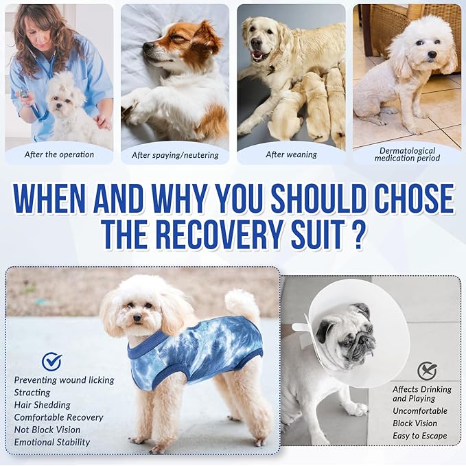 SlowTon Dog Recovery Suit - Surgery Recovery Suit for Female Male Dogs, Dog Onesie After Spay Abdominal Wounds, E-Collar Cone Alternative Prevent Licking Pet Surgical Suit(Blue,S)