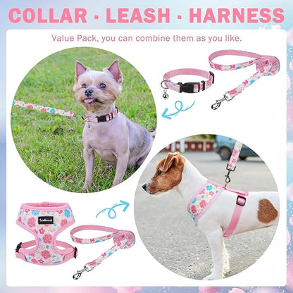 SCENEREAL Small Dog Harness Collar and Leash Set, Adjustable No Pull Pet Harnesses, No Chock Soft Mesh Vest for Doggie Puppy Medium Dogs Cats Girl or Boy,Chihuahua, Yorkie, Outdoor Walking