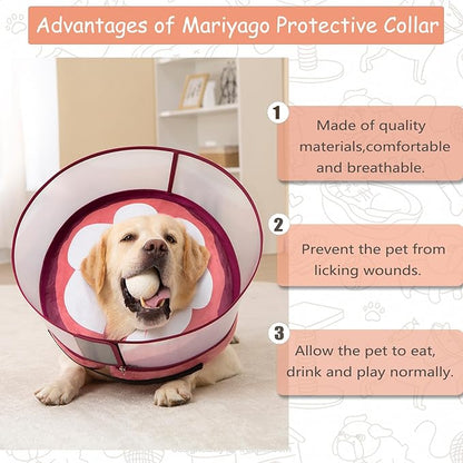 Inflatable Dog Cone Collar for Large Medium Small Dogs, Soft Dog Donut Collar Adjustable Recovery Cone for Pets After Surgery, Extra Enhanced Anti-Licking Guard Shield (Mangosteen, Medium Plus)