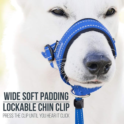 GoodBoy Dog Head Halter with Safety Strap - Stops Heavy Pulling On The Leash - Padded Headcollar for Small Medium and Large Dog Sizes - Head Collar Training Guide Included (Size 2, Blue Nylon)