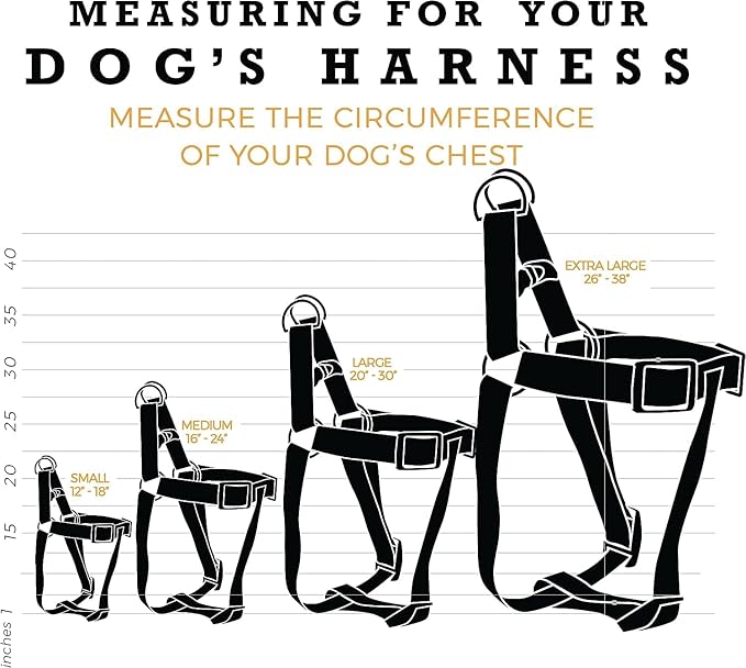 Wolfgang Heavy Duty Adjustable Dog Harness, Pull-Tested to Over 800 lbs for Walking & Training, FlutterColor Print, Small