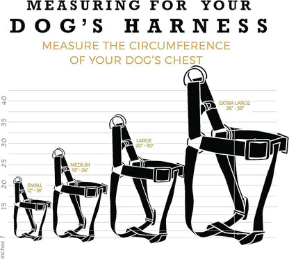 Wolfgang Heavy Duty Adjustable Dog Harness, Pull-Tested to Over 800 lbs for Walking & Training, FlutterColor Print, Small
