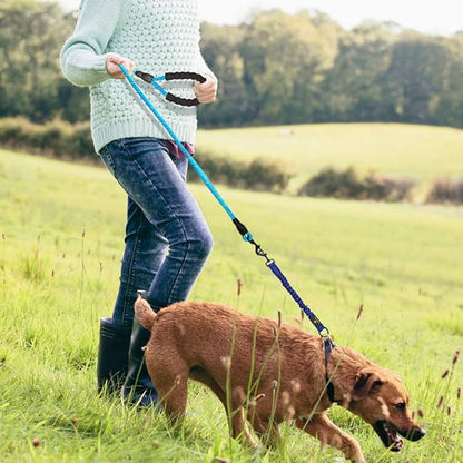 Bungee Leash Extension Attachment, 18" Shock Absorbing Lead Extension Absorber, Prevent Injury on Arm and Shoulder & Save Dogs from Getting Hurt, Great for Bicycle, Running, Walking,Blue