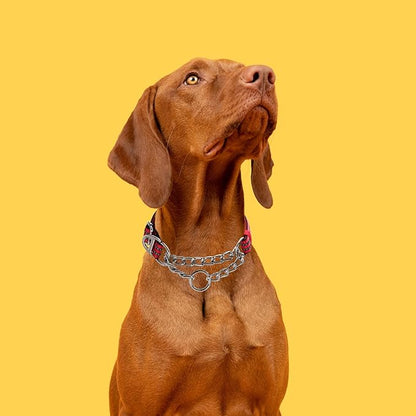 Chain Martingale Collar for Dogs，Stainless Steel, No Pull Slip Cinch Choker Choke Collar Training Escape Proof Heavy Duty Dog Collar for Small Medium Large Pet Boy Male Dogs,Red XL