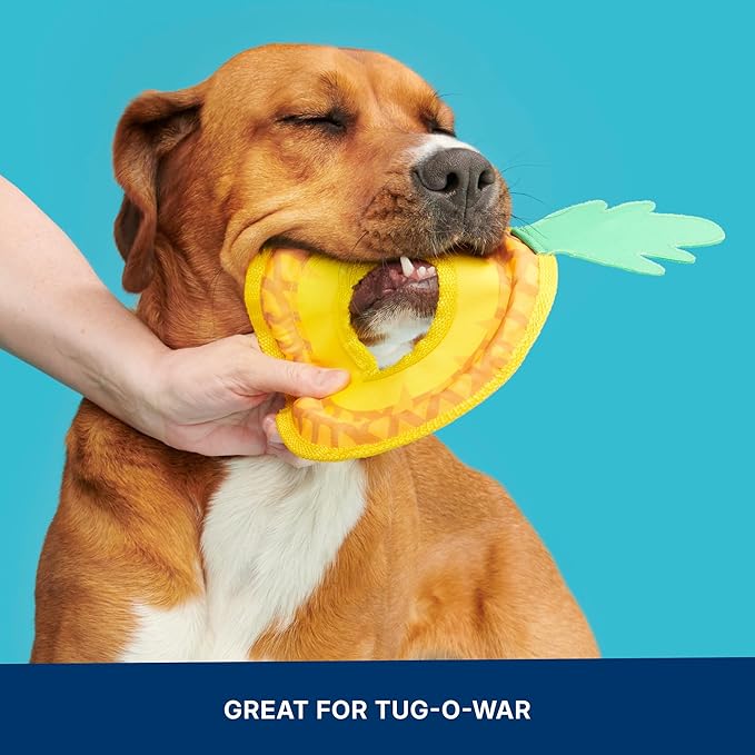 Barkbox Pineapple Fling Flying Disc Dog Toy | Fluff-Free Crinkle Disc with T-Shirt Rope Edge | Durable Fetch Toy for Dogs & Puppies Who Love to Toss & Play
