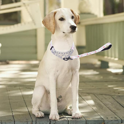 Martingale Dog Collar with Stainless Steel Chain - Limited Chain Cinch Training Collar for No Pull Training Dog - Flower Multicolor Cute Patterns - Premium No Slip Collar (L, White1)
