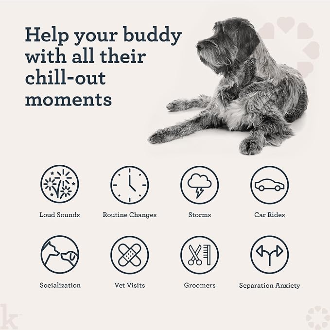 Kradle Chillers Hard Chews for Dogs - GABA L-Theanine - Occasional Anxiety Support - Chicken Flavor - 12 Hard Chews