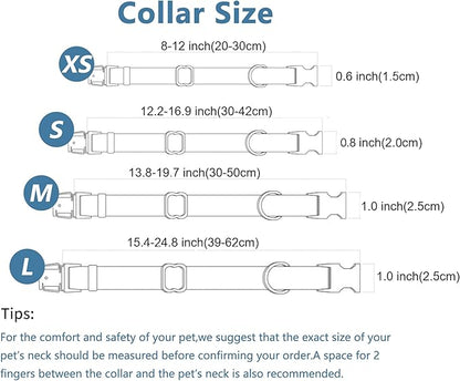 Dog Collar and Leash Set.Soft and Easy to Clean Vegan Leather with Rose Gold Metal Buckle for Small Medium Large Dogs (Off-White, XS(8"-12"))