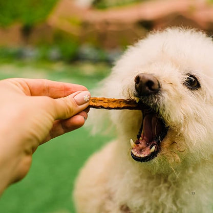 Loving Pets Soft Jerky Dog Treats – Real USA-Sourced Meat Dog Snacks for Training, Puppies & Everyday Reward – Soft, Chewy Dog Treats for Small, Medium & Large Dogs – Wheat & Corn Free