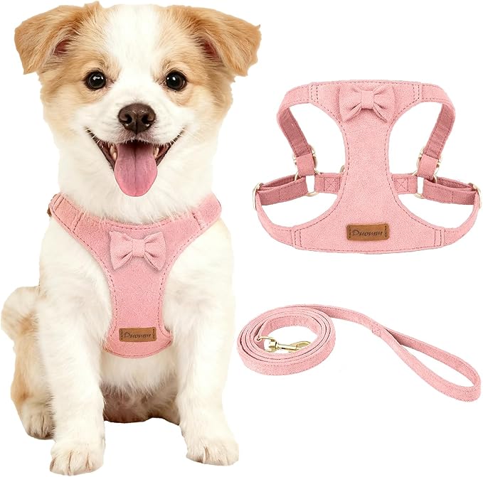 Cute Small Dog Harness and Leash Puppy Set with Bowtie,Step in Dog Harnesses,Soft Adjustable Cat & Dog Vest,Harness for Small Cats & Dogs Walks and Parties(Pink,S:Weight 8.8-17.6lb)