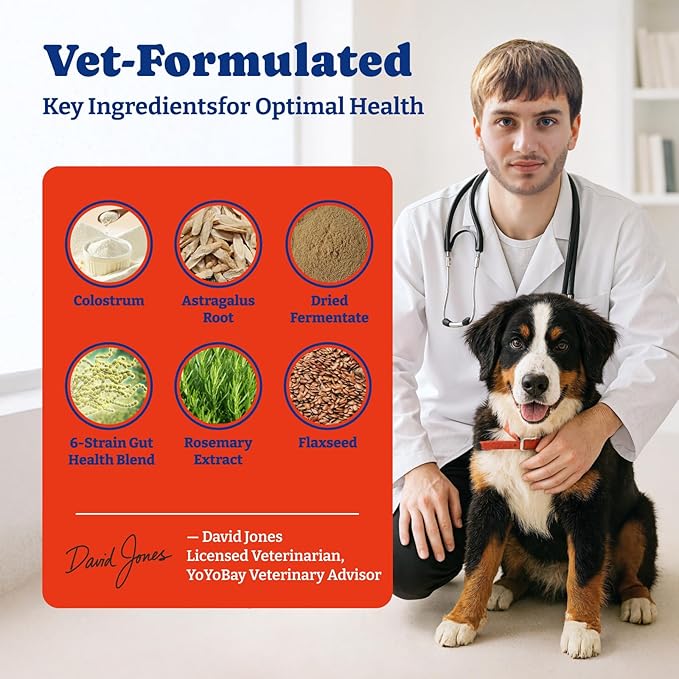 Dog Allergy Relief Chews – 70 Soft Chews, Salmon & Blueberry Flavor - Immune Support & Itch Relief with Colostrum, Astragalus Root, 6-Strain Gut Health Blend