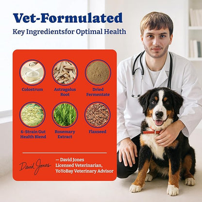 Dog Allergy Relief Chews – 70 Soft Chews, Turkey & Pumpkin Flavor - Immune Support & Itch Relief with Colostrum, Astragalus Root, 6-Strain Gut Health Blend