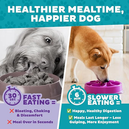 Outward Hound Fun Feeder Slo Bowl – Medium 2‑Cup Capacity,Slow Feeding,Small to Medium Dogs & Cats,Non-Slip,Purple,Flower Pattern,(Pack of 12)