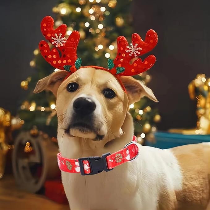 Christmas Dog Collar with Buckle Adjustable Safety Nylon Collars for Small Medium Large Dogs, Cute Stylish Girl Boy Christmas Dog Collar (Christma Red,M)