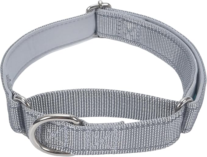 SGODA Martingale Dog Collar, Reflective Nylon Padded Dog Training Collars for Large Dogs, Grey L