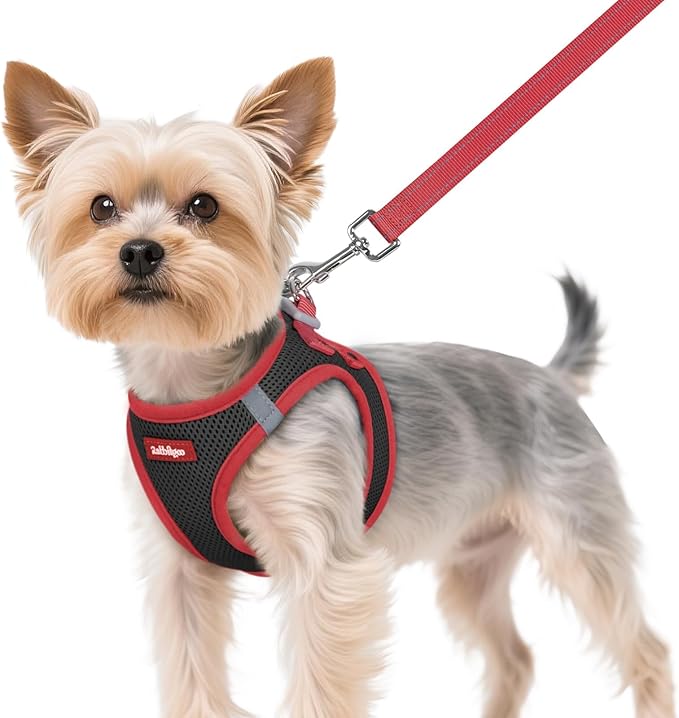 rabbitgoo Dog Harness Small Sized and Leash Set, Step-in Breathable Pet Harness, Soft Walking Reflective Puppy Vest for Small Dogs, Black & Red, XS