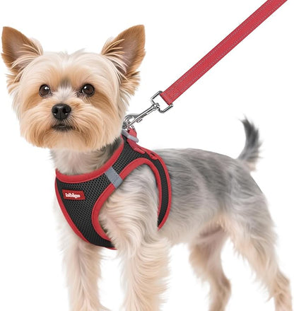 rabbitgoo Dog Harness Small Sized and Leash Set, Step-in Breathable Pet Harness, Soft Walking Reflective Puppy Vest for Small Dogs, Black & Red, XS