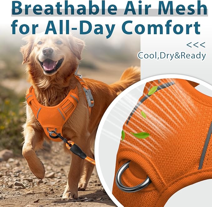 BARKBAY Dog Harness No Pull with ID Tag Pocket - Heavy Duty, Reflective, Easy Control for Large Dogs(Orange,L)