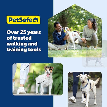 PetSafe Nylon Leash - Strong Dog Leash for Everyday Use - Secure & Simple Design for Reliable Control - Lightweight with Durable Hardware - 3/8 Inch - 6 Feet - Blue