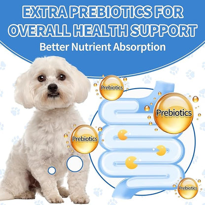Natural Antibiotics for Dogs, Herbal Dog Antibiotics Supplement with Prebiotics for Dog Allergy Itch Relief Cough Immune Support Dog UTI Comfort for All Breeds and Ages-Chicken Flavor | 2 fl oz