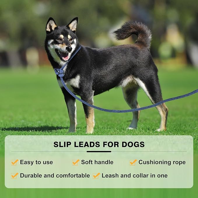 Lynxking Dog Leash Slip Lead Reflective Breathable Rope Comfortable Strong No Pull Slip On Pet Training Lead for Dogs (Pack of 2)
