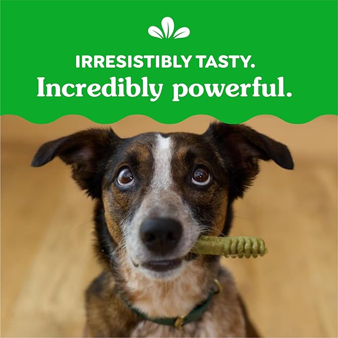Greenies Veterinarian-Recommended Adult Natural Dental Dog Treats Regular Size, Dog Dental Chews, Original Flavor, 54 oz. Pack, 54 Count