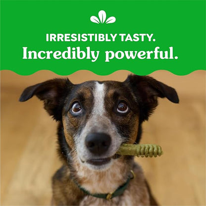 Greenies Veterinarian-Recommended Adult Natural Dental Dog Treats Regular Size, Dog Dental Chews, Original Flavor, 54 oz. Pack, 54 Count