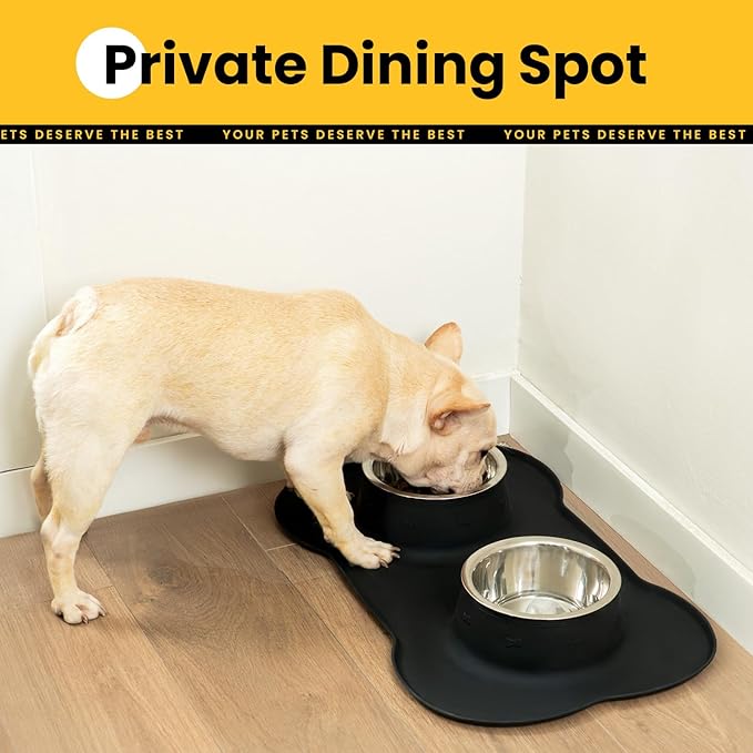 Conlun Medium Pet Feeding Station, 29oz Stainless Steel Dog Bowls Set, No Spill Food & Water Dishes with Non Slip Silicone Mat for Breeds Up to 55 Lbs,Black