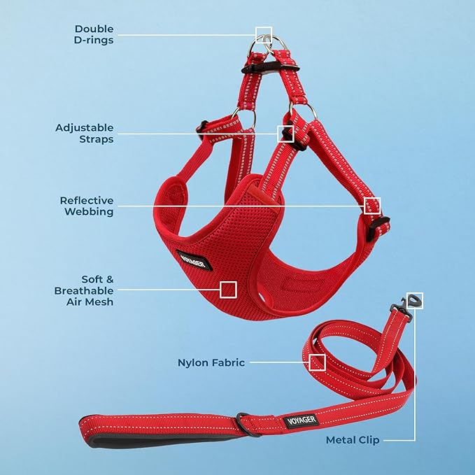 Best Pet Supplies Voyager Adjustable Step-in Flex Breathable Mesh Dog Harness for Small Medium Large Dogs Leash Set (Red), XL