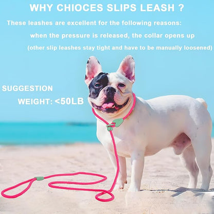 Dog Training Leash Slip Leads for Dogs 6 FT Slip Leash for Dogs Dog Lead with 6 Colors Strong Nylon No Pull Rope Dog Leash Dog Leashes for Small Medium Dogs (Rose Red)