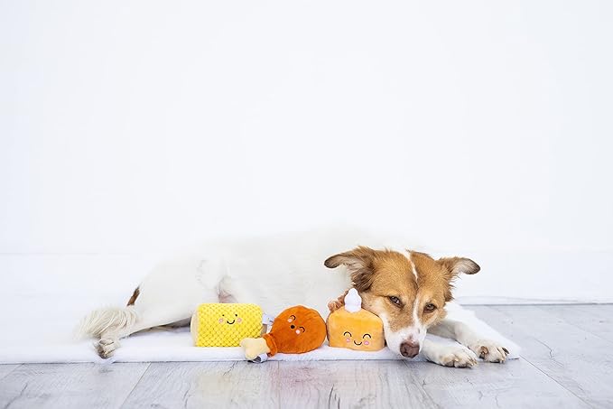 Pearhead Pet Thanksgiving Dinner Dog Toys - Slice of Pumpkin Pie, Turkey Leg, and Corn Cob Plush with Squeakers, Set of 3