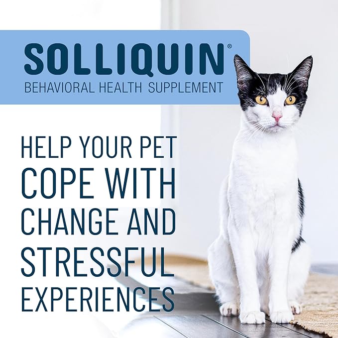 Nutramax Solliquin Calming Behavioral Health Supplement for Small to Medium Dogs and Cats - with L-Theanine,Magnolia/Phellodendron,and Whey Protein Concentrate,75 Soft Chews,(Pack of 2)