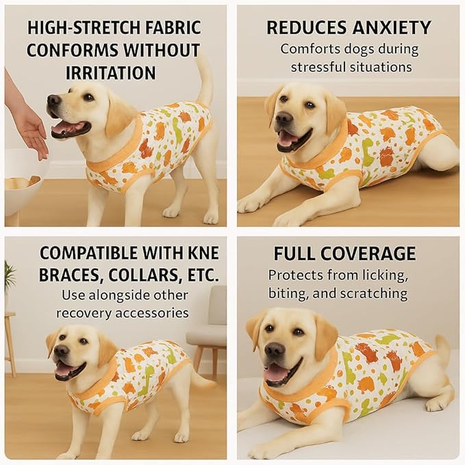 PetWarm Dog Neuter Recovery Suit Male, Onesie for Dogs After Surgery, Professional Dog Recovery Shirt Abdominal Wounds Bandages Substitute E-Collar and Cone, Dinosaur Pattern, Yellow, 2XL