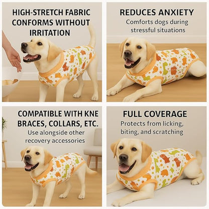 PetWarm Dog Neuter Recovery Suit Male, Onesie for Dogs After Surgery, Professional Dog Recovery Shirt Abdominal Wounds Bandages Substitute E-Collar and Cone, Dinosaur Pattern, Yellow, 2XL