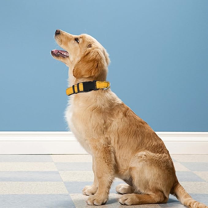 Reflective Dog Collar, Adjustable Soft Neoprene Padded Nylon Pet Collars with Buckle for Medium Dogs, Yellow,M