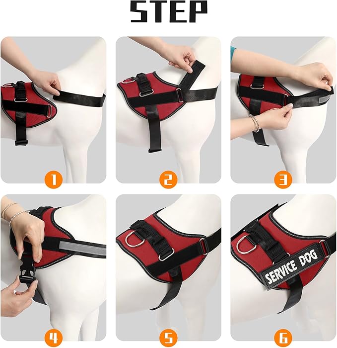 MUMUPET Service Dog Harness, No Pull Reflective Adjustable Vest with Handle, Soft Breathable Padding for Small Dogs, 2 Removable Velcro Patches (Red, S)